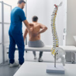 Back Pain Spine Diagram